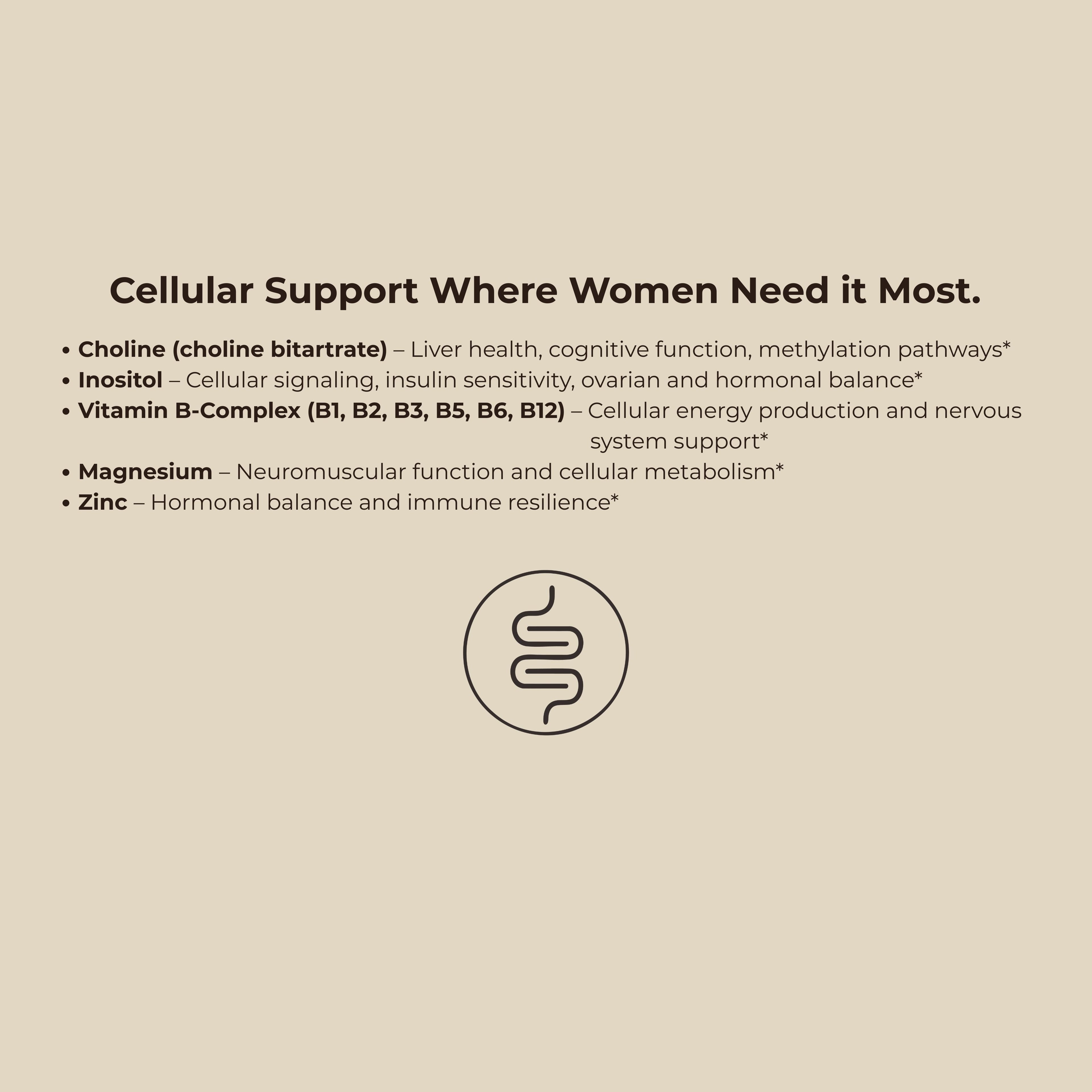 Women’s Multivitamin — Premium Ingredients, Built to Absorb