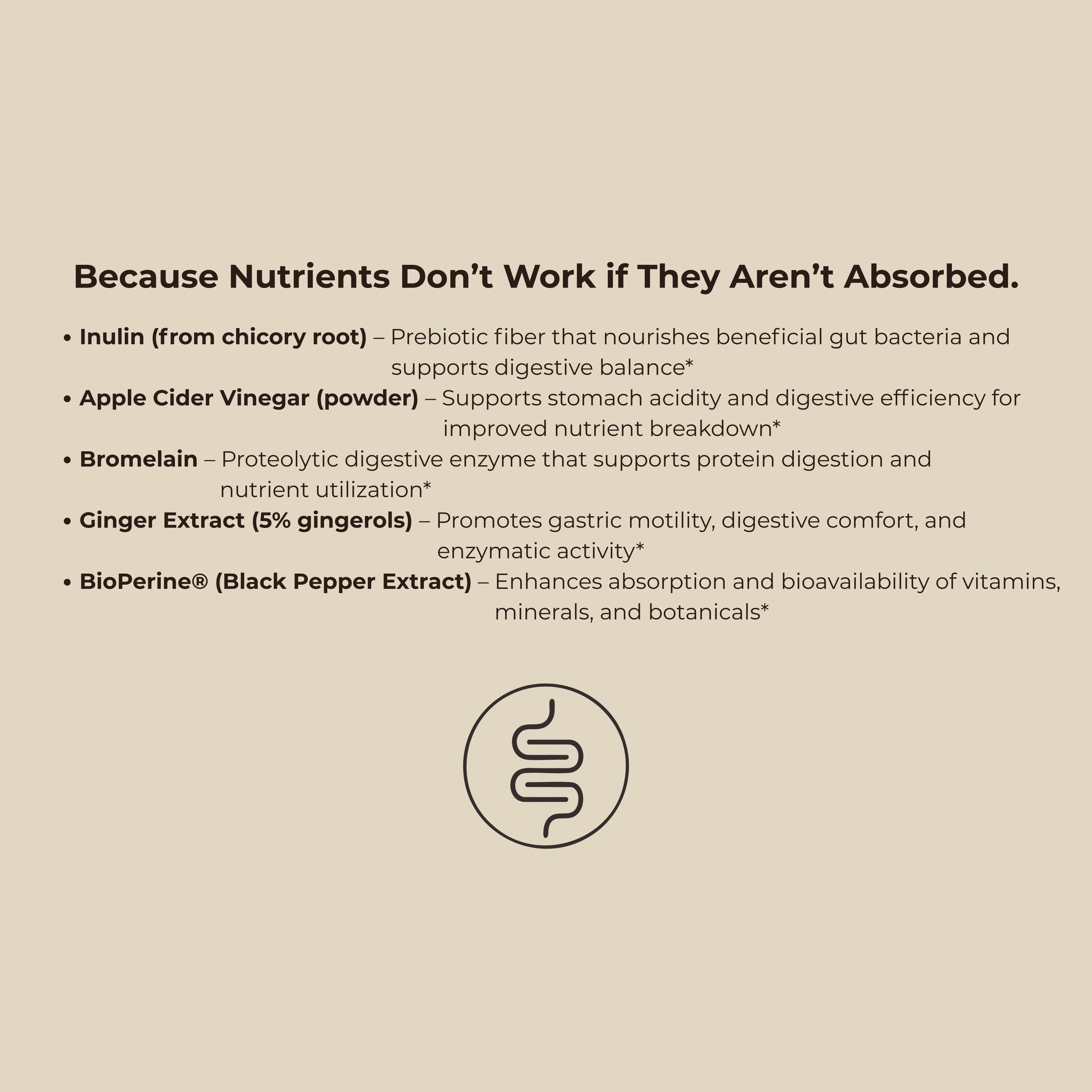 Women’s Multivitamin — Premium Ingredients, Built to Absorb