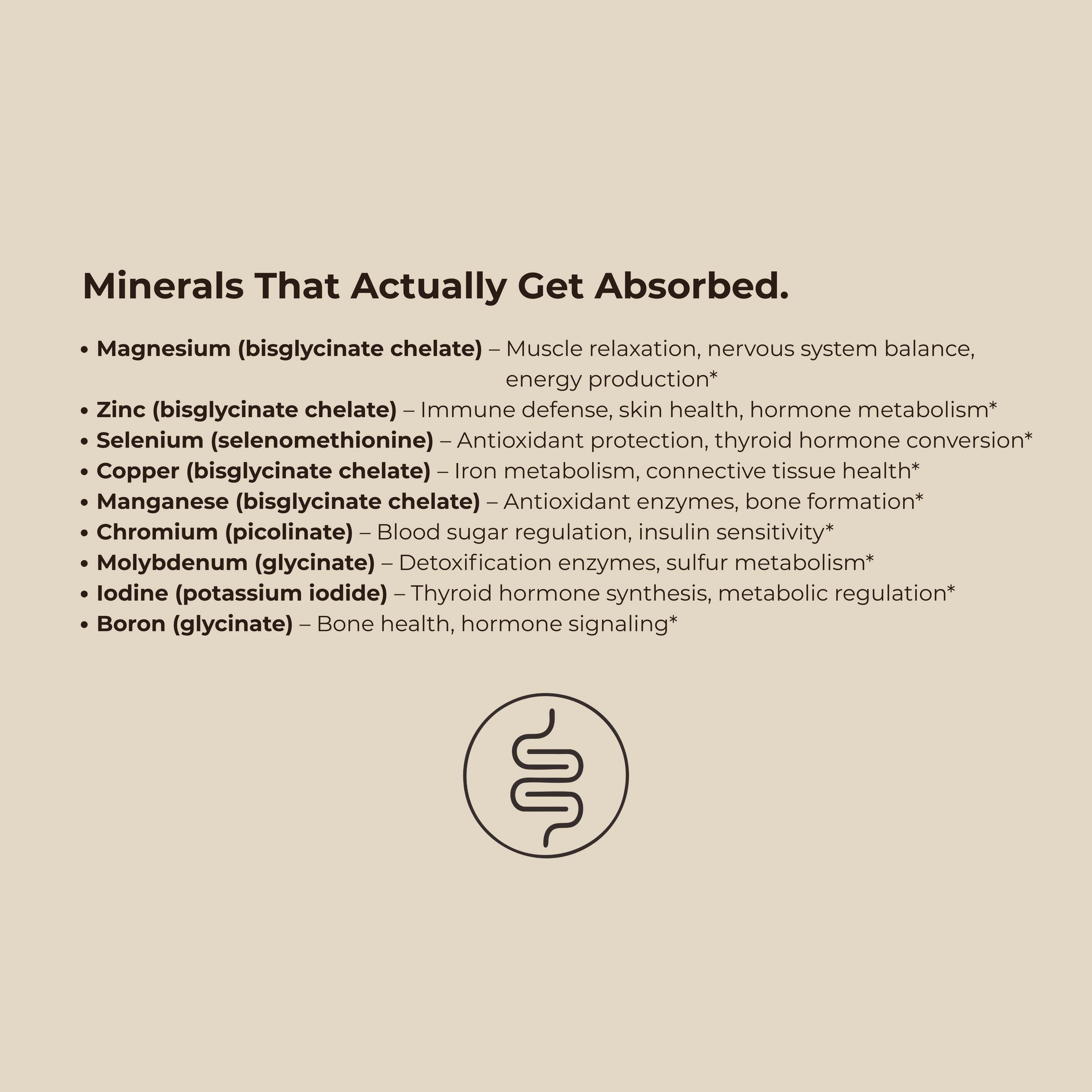 Women’s Multivitamin — Premium Ingredients, Built to Absorb